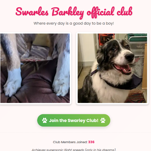 Swarley.club project preview